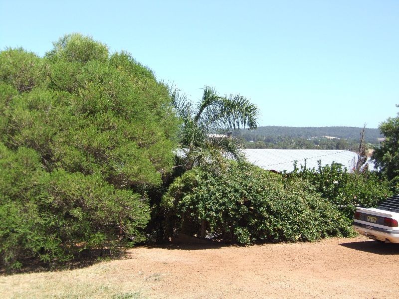 21 Palmer Street, Donnybrook WA 6239