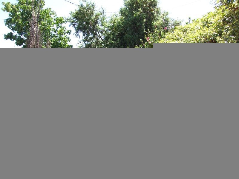 21 Palmer Street, Donnybrook WA 6239