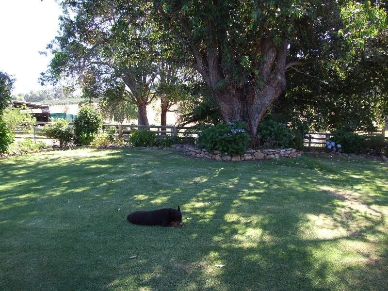 341 Brookhampton Road, Brookhampton WA 6239