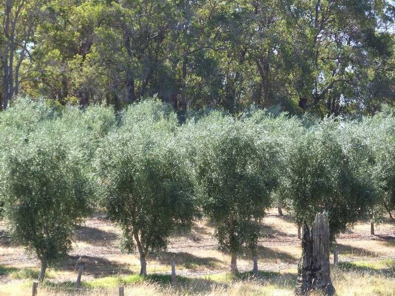 341 Brookhampton Road, Brookhampton WA 6239