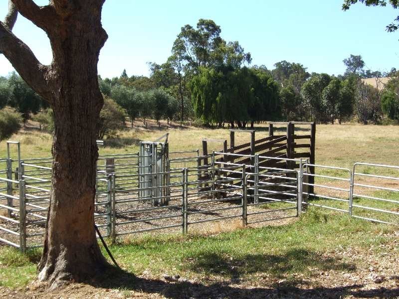 341 Brookhampton Road, Brookhampton WA 6239