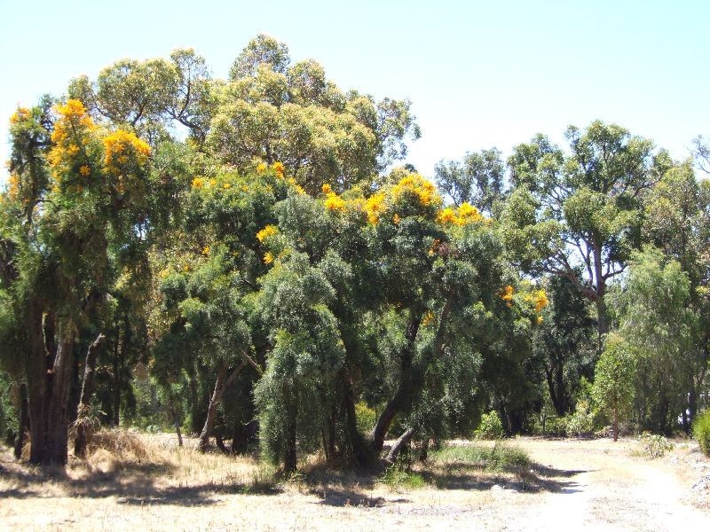 285 Irishtown Road, Donnybrook WA 6239