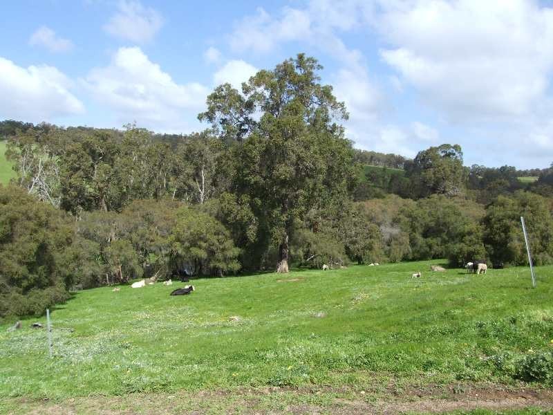 311 Lowden-Grimwade Road, Donnybrook WA 6239