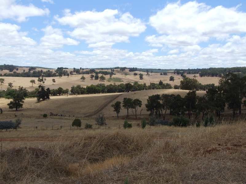 164 Campbell, Balingup WA 6253