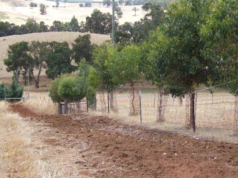 164 Campbell, Balingup WA 6253