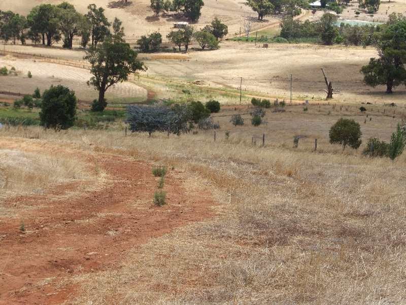 164 Campbell, Balingup WA 6253