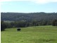 Lot 2045,  Morrissey Road, Yabberup WA 6239