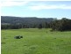Lot 2045,  Morrissey Road, Yabberup WA 6239