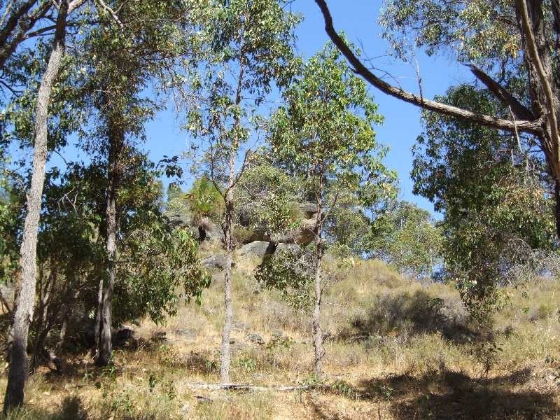 Lot 2045,  Morrissey Road, Yabberup WA 6239