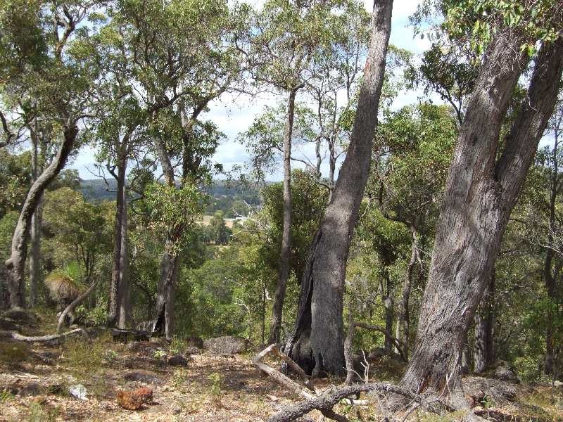 61 Myrtle Ridge, Argyle WA 6239