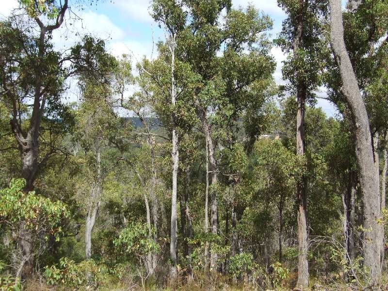 61 Myrtle Ridge, Argyle WA 6239