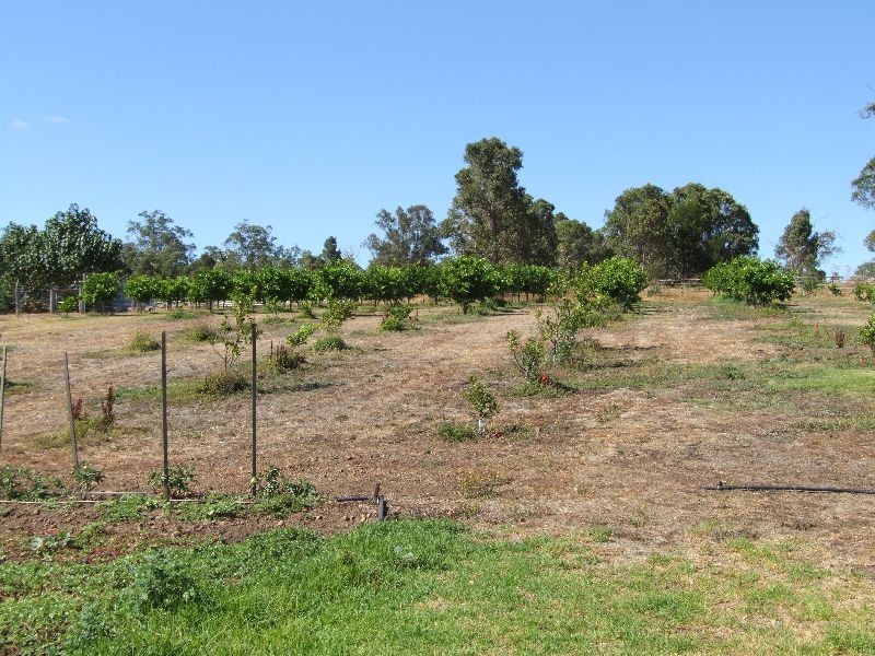 60 Beelerup Rd, Donnybrook WA 6239