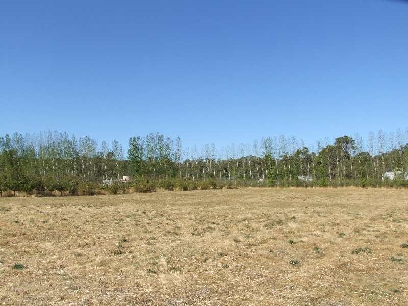 874 Hurst Road, Argyle WA 6239