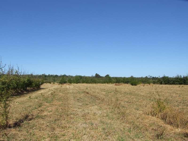874 Hurst Road, Argyle WA 6239