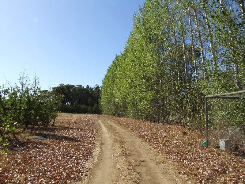 874 Hurst Road, Argyle WA 6239