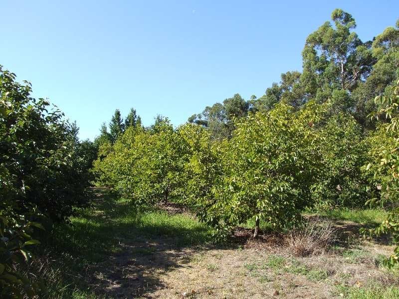 874 Hurst Road, Argyle WA 6239