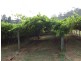 1 Fields, Donnybrook WA 6239