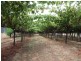 1 Fields, Donnybrook WA 6239