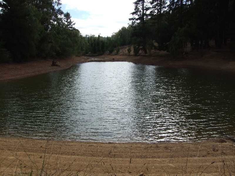 1 Fields, Donnybrook WA 6239
