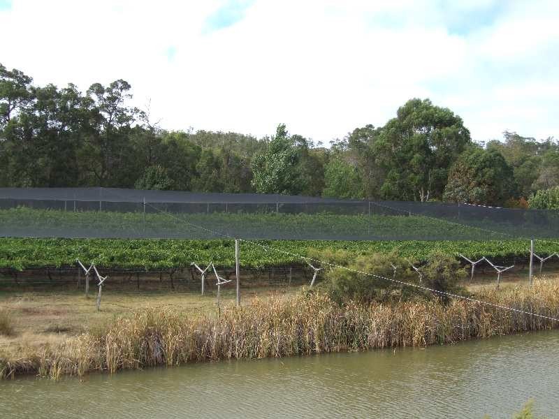 1 Fields, Donnybrook WA 6239
