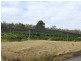 1 Fields, Donnybrook WA 6239