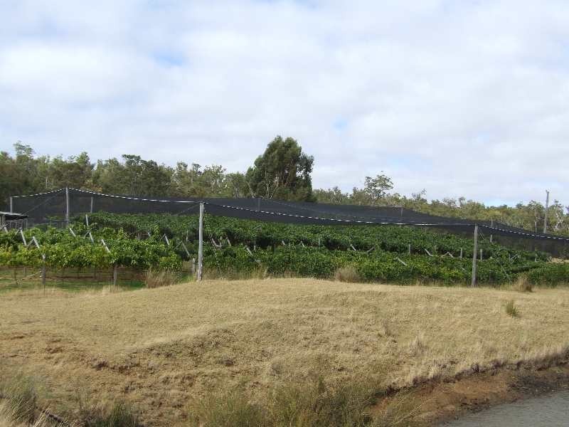 1 Fields, Donnybrook WA 6239