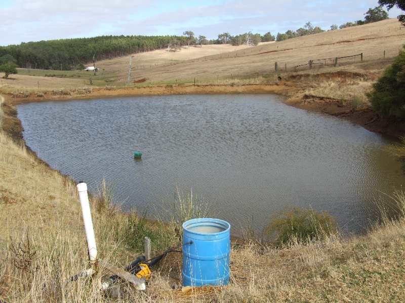 1 Fields, Donnybrook WA 6239