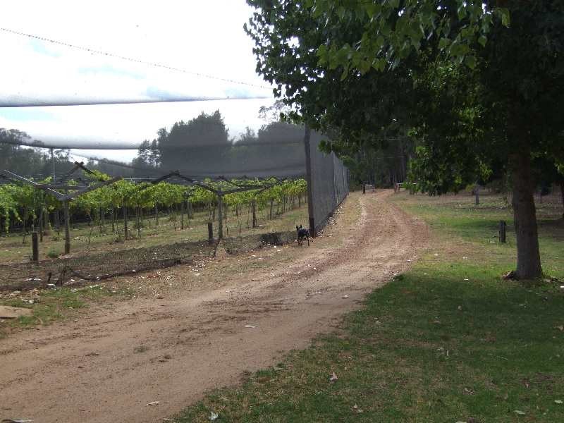 1 Fields, Donnybrook WA 6239