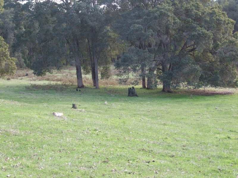 Lot 453,  brookhampton road, Brookhampton WA 6239