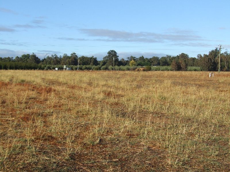 4 Hamilton, Donnybrook WA 6239