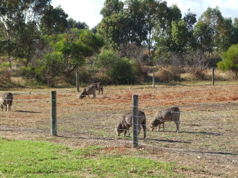 4 Hamilton, Donnybrook WA 6239