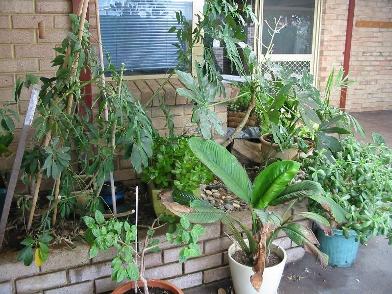 183 Fleet, Donnybrook WA 6239