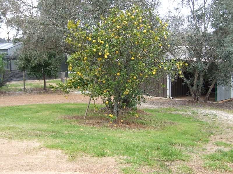 Lot 440, 1 Crendon Road, Donnybrook WA 6239