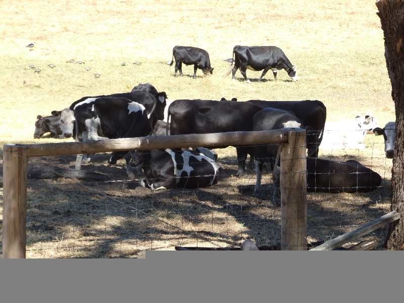 Lot 440, 1 Crendon Road, Donnybrook WA 6239