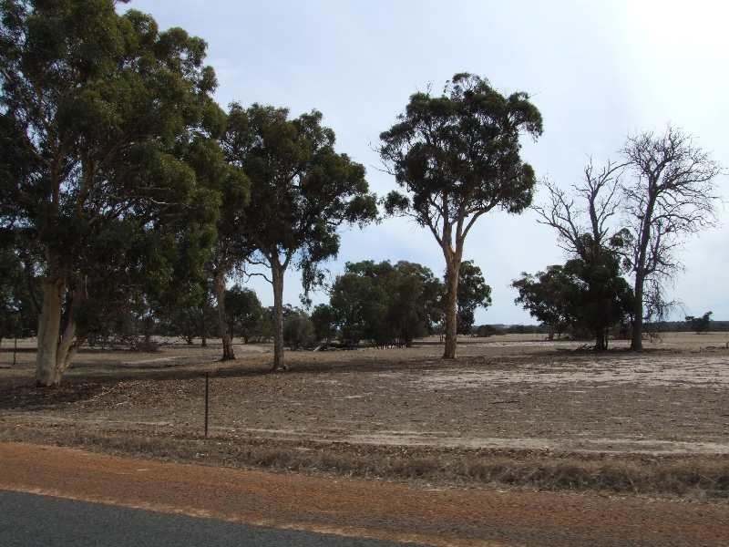 Boyup Brook-Arthur Rd, Darkan WA 6392
