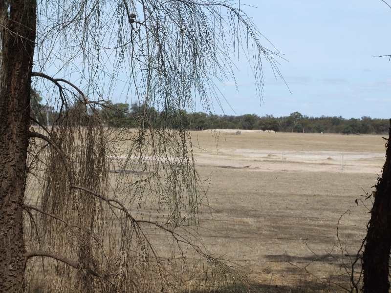 Boyup Brook-Arthur Rd, Darkan WA 6392