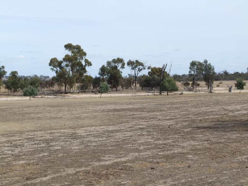 Boyup Brook-Arthur Rd, Darkan WA 6392