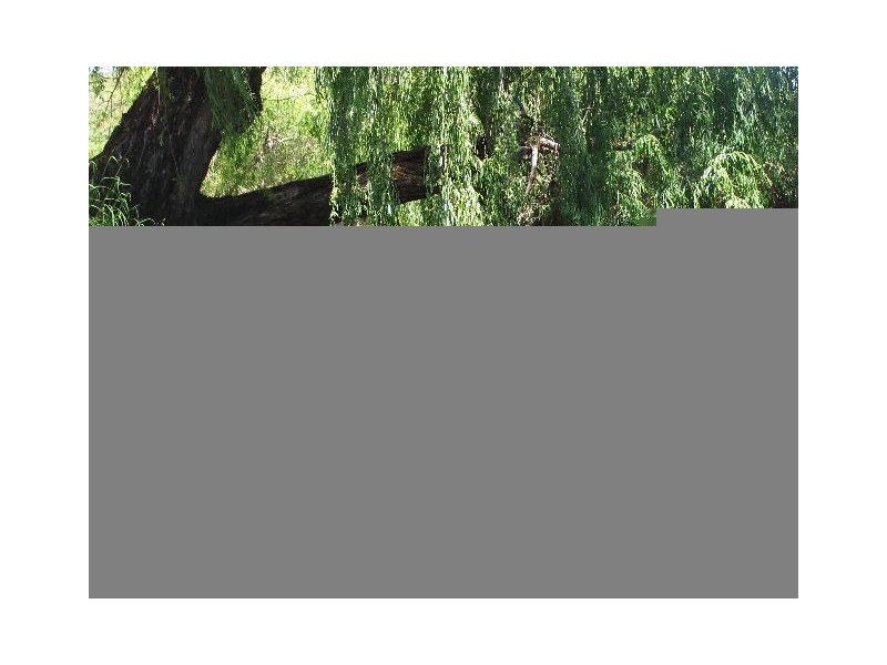 288 Wade Road, Brookhampton WA 6239