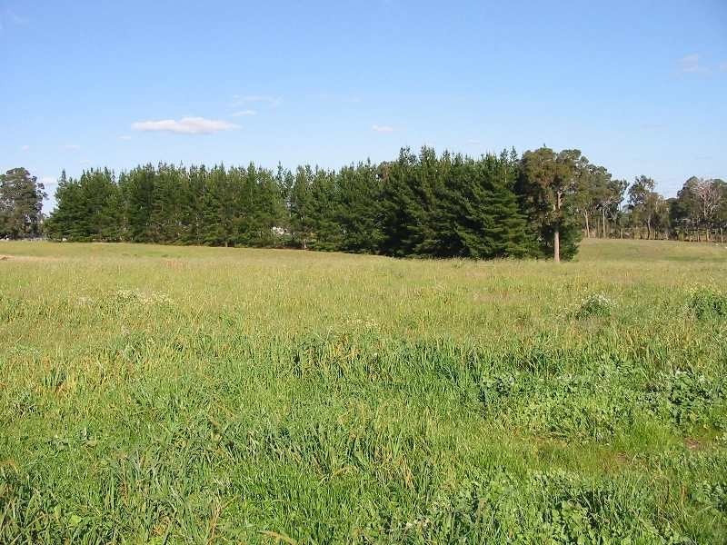 Lot 71, Devon Place, Bridgetown WA 6255