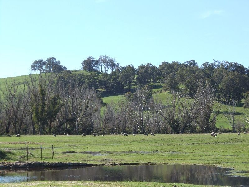 2653 Donnybrook-Boyup Brook Rd, Mumballup WA 6225