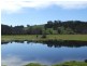 2653 Donnybrook-Boyup Brook Rd, Mumballup WA 6225