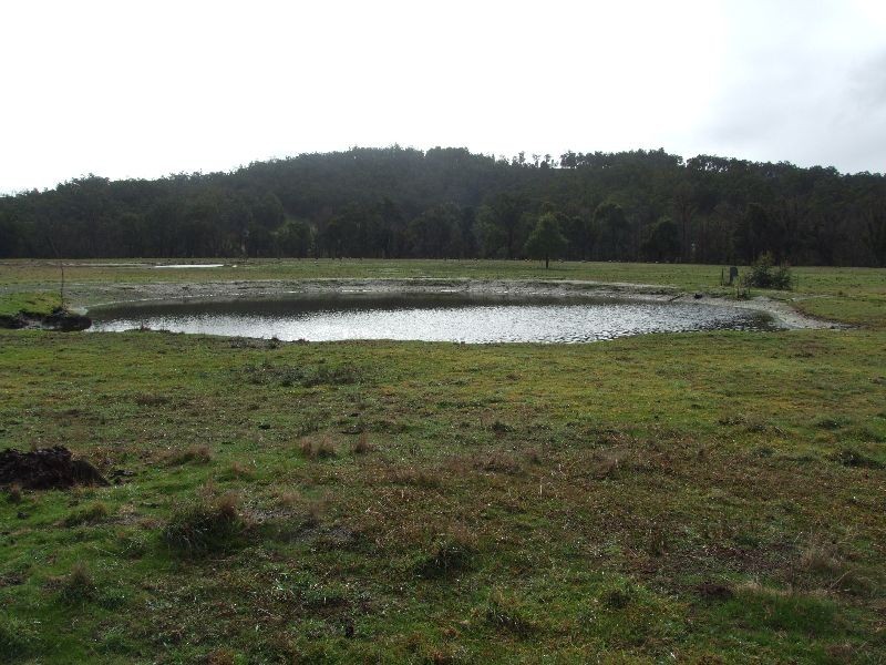 2653 Donnybrook-Boyup Brook Rd, Mumballup WA 6225