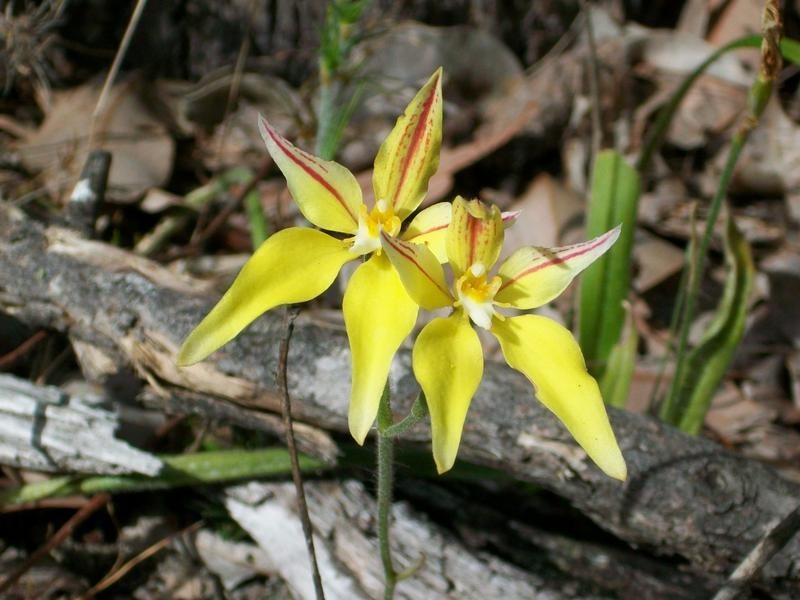 Lot 1,  Chapman Rd, Mcalinden WA 6225