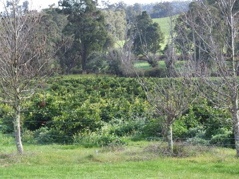 Lot 101,  Brookhampton Road, Brookhampton WA 6239