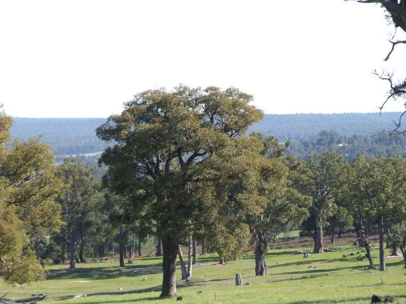 Lot 2280,  Irishtown Rd, Donnybrook WA 6239