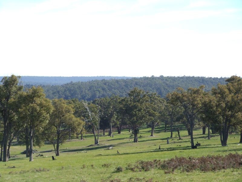 Lot 2280,  Irishtown Rd, Donnybrook WA 6239