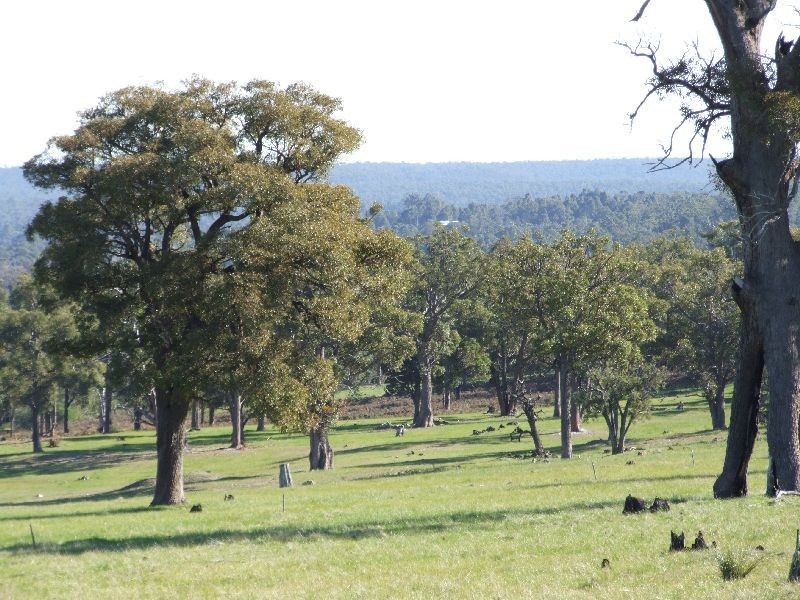 Lot 2280,  Irishtown Rd, Donnybrook WA 6239