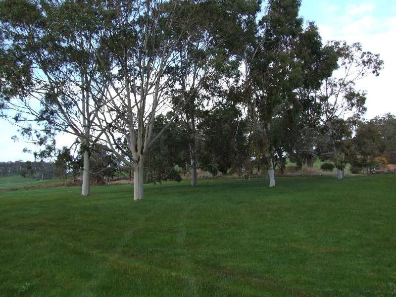 443 Thomson Brook Road, Thomson Brook WA 6239