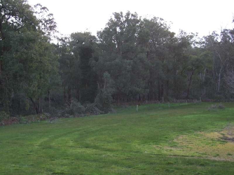 443 Thomson Brook Road, Thomson Brook WA 6239