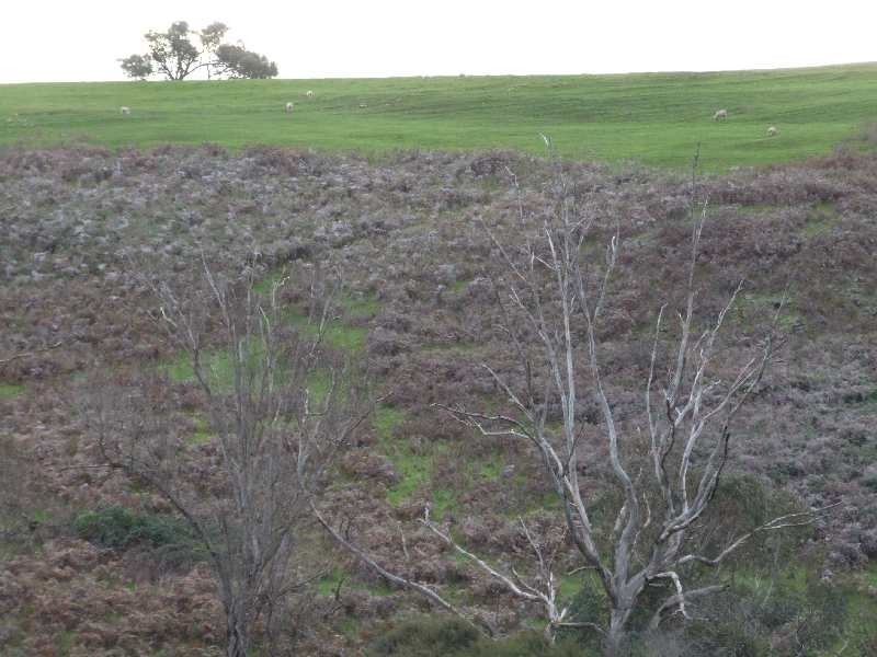 443 Thomson Brook Road, Thomson Brook WA 6239